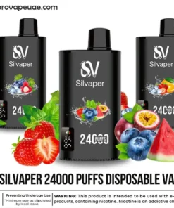 Silvaper 24000 Puffs